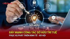 Đẩy mạnh công tác sở hữu trí tuệ phục vụ phát triển kinh tế - xã hội