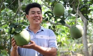 Khởi nghiệp nông nghiệp: Vốn chưa phải câu hỏi đầu tiên