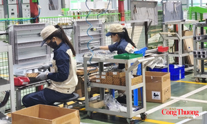 Từ Nghị quyết 10 đến yêu cầu kết nối hệ sinh thái công nghiệp
