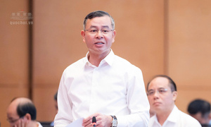 Đại biểu Quốc hội: Cho ý kiến về dự án Luật sửa đổi, bổ sung một số điều của Luật Kế toán, Luật Kiểm toán độc lập