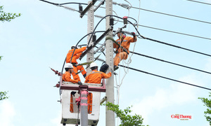 Ngành điện TP. Hồ Chí Minh sẵn sàng giải pháp bảo đảm điện mùa khô 2027