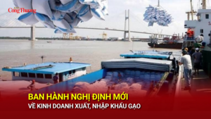 Ban hành Nghị định mới về kinh doanh xuất, nhập khẩu gạo