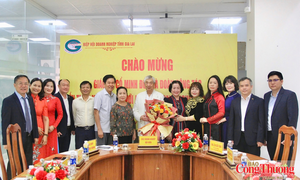 Gia Lai: Kết nối chuyên gia, doanh nghiệp mở rộng dư địa hợp tác quốc tế