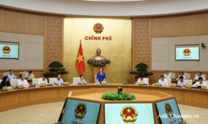 Kích hoạt mạnh mẽ tinh thần Nghị quyết 26-NQ/TW, nghiên cứu cơ chế đặc thù cho du lịch