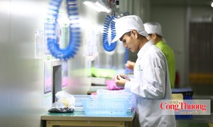 Quảng Ninh: Tạo môi trường thuận lợi để kinh tế tư nhân bứt phá