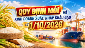 Infographic| Quy định mới về kinh doanh xuất, nhập khẩu gạo 