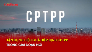 Tận dụng hiệu quả Hiệp định CPTPP trong giai đoạn mới 