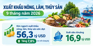 Infographic | 9 tháng, xuất khẩu nông, lâm, thủy sản tăng 7,8%