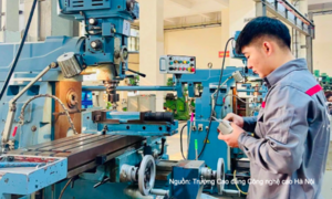 Đào tạo nghề cho lao động nông thôn bám sát nhu cầu thị trường