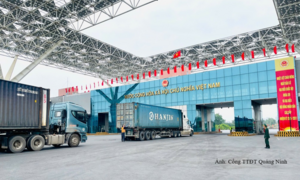 Xuất nhập khẩu Quảng Ninh tăng trưởng tích cực trong 9 tháng năm 2026