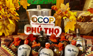 Phú Thọ: Nâng 'chất' sản phẩm OCOP, tạo sức bật mới cho nông sản 