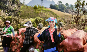 Pú Nhung: Từ đất lửa, xanh những mùa hy vọng