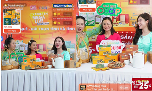 Mega Live đưa đặc sản Hà Tĩnh lên không gian số