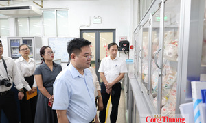 Thẩm định hồ sơ Giải thưởng Công nghiệp, Thương mại, Dịch vụ tại Vedan Việt Nam
