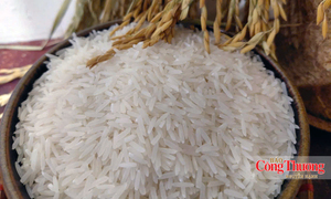 Gạo Việt Nam: Không thể chỉ cạnh tranh bằng giá