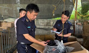 Nhiều thách thức kiểm soát hàng xâm phạm sở hữu trí tuệ qua biên giới