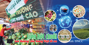 Longform | Liên kết chuỗi ‘mở đường’ cho hàng Việt đi xa