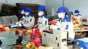 Quảng Ninh: Từ sản vật địa phương đến sản phẩm OCOP giá trị cao