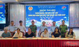 Gia Lai: Phòng ngừa vi phạm trong sản xuất, kinh doanh sản phẩm OCOP