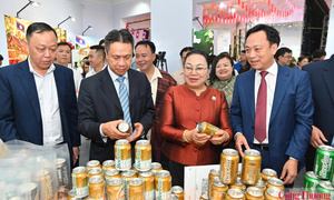Khai mạc Tuần lễ sản phẩm Việt Nam - Lào 'Hoa đẹp Chăm Pa'