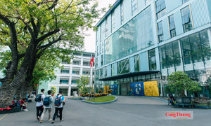 IUH lần đầu xuất hiện trong bảng xếp hạng đại học thế giới THE 2027