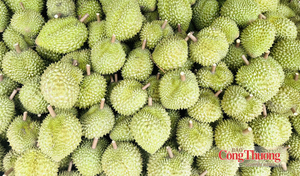 Xuất khẩu nông, lâm, thủy sản: Đà tăng từ rau quả, thủy sản