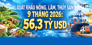 Infographic| Xuất khẩu nông, lâm, thủy sản 9 tháng 2026 ước đạt 56,3 tỷ USD