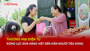 Thương mại điện tử, động lực đưa hàng Việt đến gần người tiêu dùng
