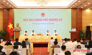 Họp báo Chính phủ thường kỳ: Tăng trưởng GDP ước đạt 9,01%, cao nhất trong 15 năm
