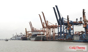 Xuất siêu trở lại sau 9 tháng liên tiếp nhập siêu