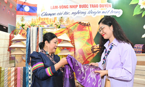 Người Hà Nội thích thú khám phá đặc sản xứ Triệu Voi
