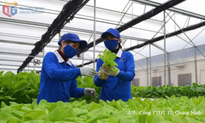 Quảng Ninh: Thu hút đầu tư theo mô hình tăng trưởng xanh