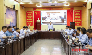 Thứ trưởng Nguyễn Việt Sơn làm việc với Cục Địa chất và Khoáng sản Việt Nam