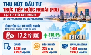 TP. Hồ Chí Minh thu hút 17,2 tỷ USD vốn FDI trong 9 tháng