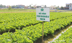 Agribank dừng rao bán khoản nợ của Công ty TNHH Phân bón Thành Tâm