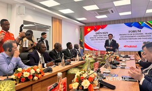 Việt Nam - Tanzania mở rộng dư địa hợp tác kinh tế, thương mại