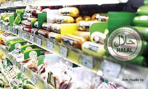 Thị trường Halal Indonesia: Quy định mới doanh nghiệp cần nắm rõ
