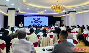Gia Lai tăng cường năng lực xuất nhập khẩu, mở rộng thương mại biên giới