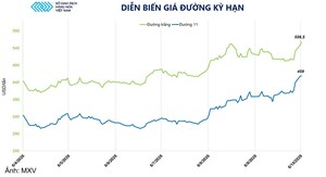Giá đường tăng phiên thứ tư liên tiếp, lập đỉnh 19 tháng