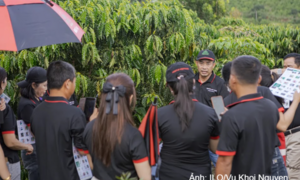 Từ học viên thành người ‘truyền lửa’: Hành trình đưa an toàn lao động về với các nông trại cà phê