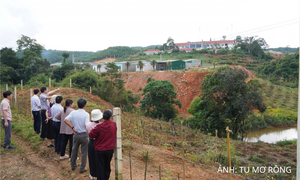Quảng Ngãi: Kiến nghị hỗ trợ 30 tỷ đồng làm kè chống sạt lở 
