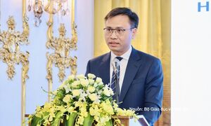 Đào tạo nghề cần bắt nhịp với sự thay đổi của thị trường lao động