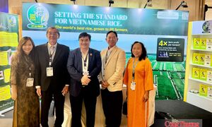 Gạo Ông Cua ST25 đoạt giải Nhì cuộc thi 'Gạo ngon nhất thế giới 2026'