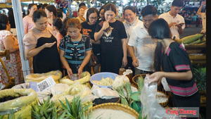 Xúc tiến thương mại đưa nông sản miền núi Đà Nẵng vươn xa