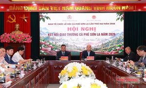 Cục trưởng Vũ Bá Phú nêu ba chuyển dịch để nâng tầm thương hiệu cà phê Sơn La