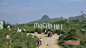 Mộc Châu: Gia tăng giá trị nông sản từ du lịch trải nghiệm