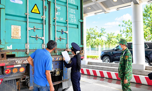 Tây Ninh: Xuất khẩu chính ngạch qua các cửa khẩu biên giới tăng 