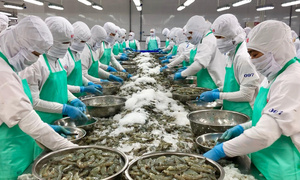 Doanh nghiệp xuất khẩu thủy sản lưu ý gì khi vào thị trường Hoa Kỳ?