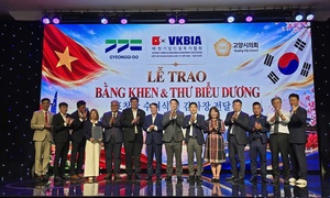 Nghị quyết số 23-NQ/TW tạo điều kiện để kiều bào cùng kiến tạo phát triển