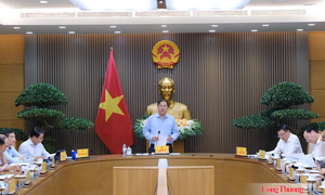Phiên họp lần thứ nhất Ban Công tác liên ngành đối ngoại và hội nhập quốc tế về Kinh tế và Khoa học - Công nghệ